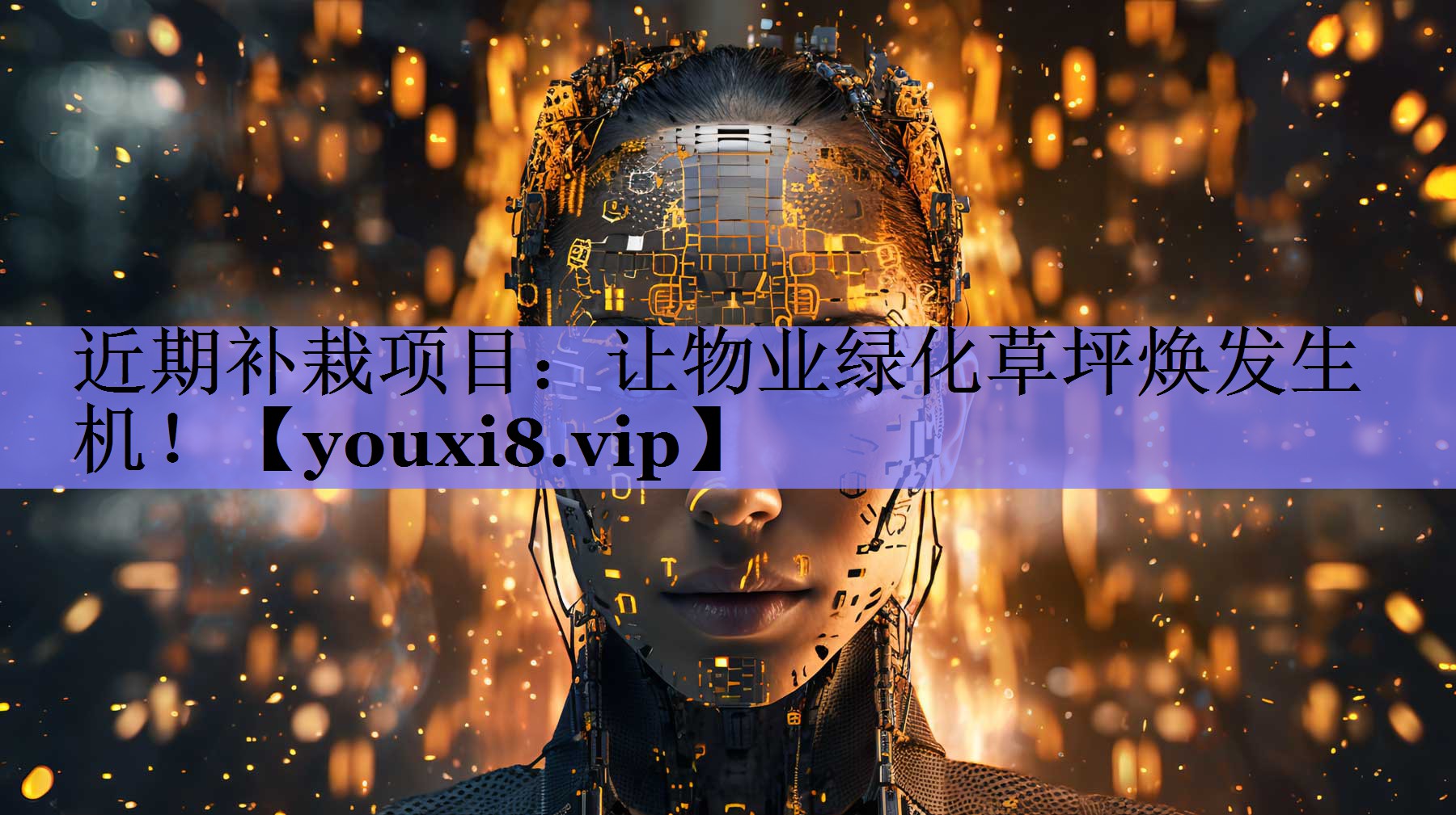 近期补栽项目：让物业绿化草坪焕发生机！