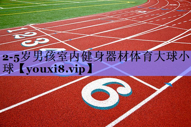 2-5岁男孩室内健身器材体育大球小球