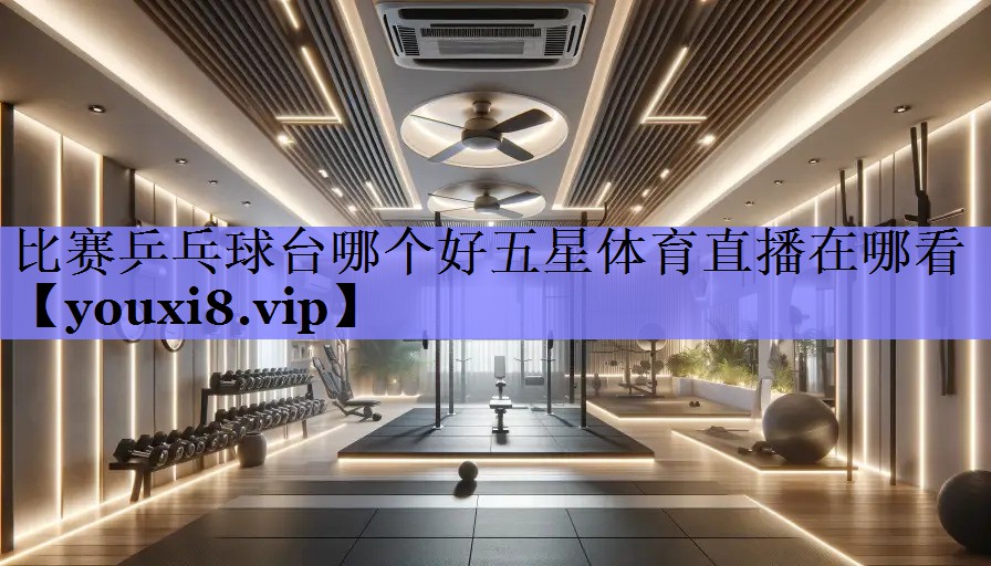 比赛乒乓球台哪个好五星体育直播在哪看