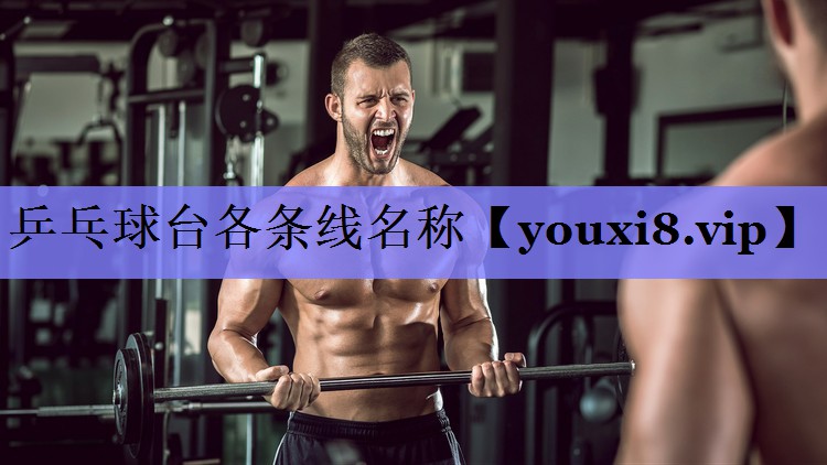 乒乓球台各条线名称