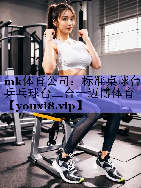 mk体育公司：标准桌球台乒乓球台二合一迈博体育