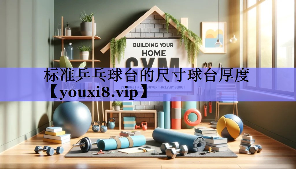 标准乒乓球台的尺寸球台厚度