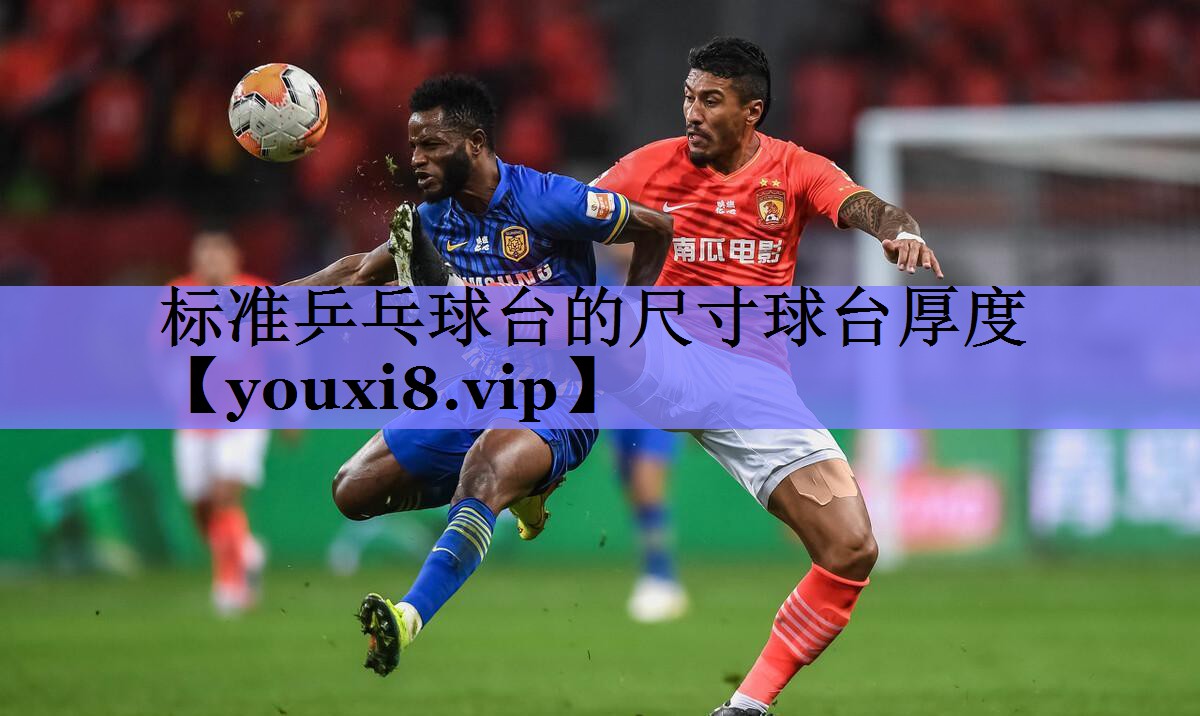 标准乒乓球台的尺寸球台厚度