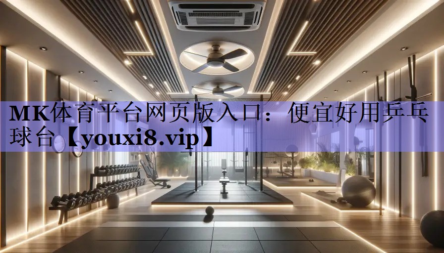 便宜好用乒乓球台