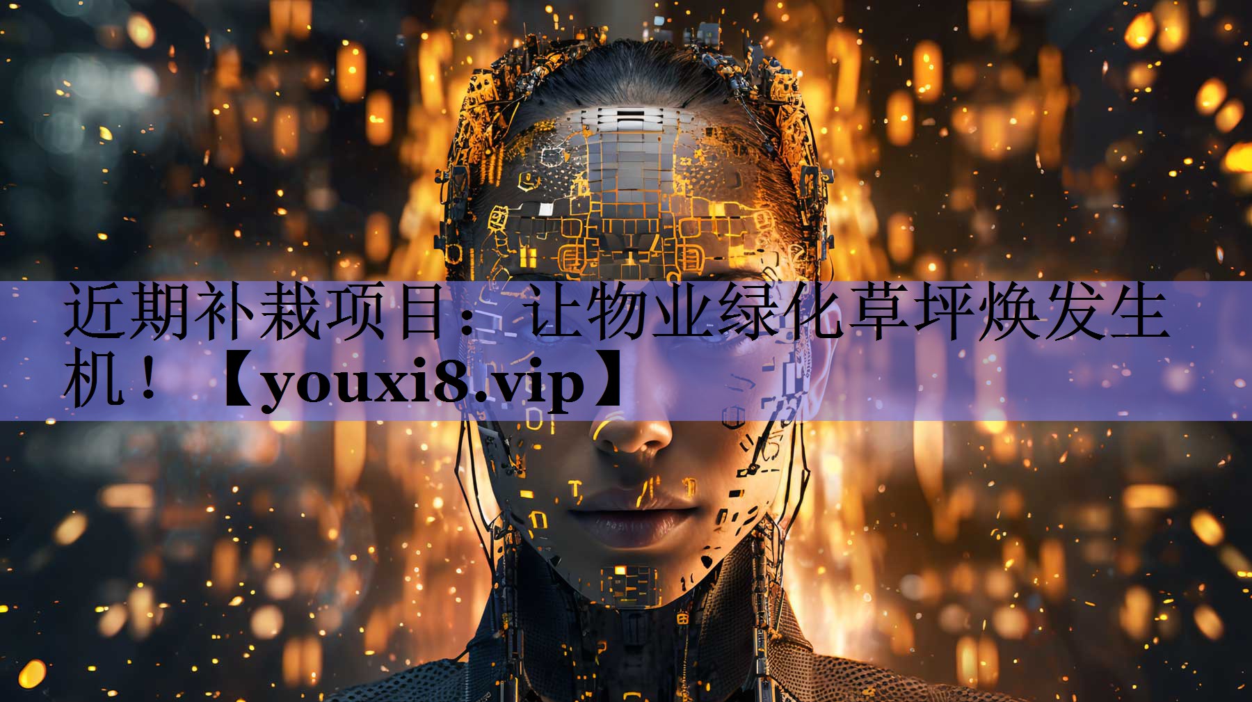 近期补栽项目：让物业绿化草坪焕发生机！