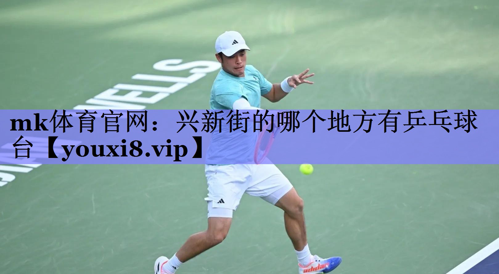 兴新街的哪个地方有乒乓球台