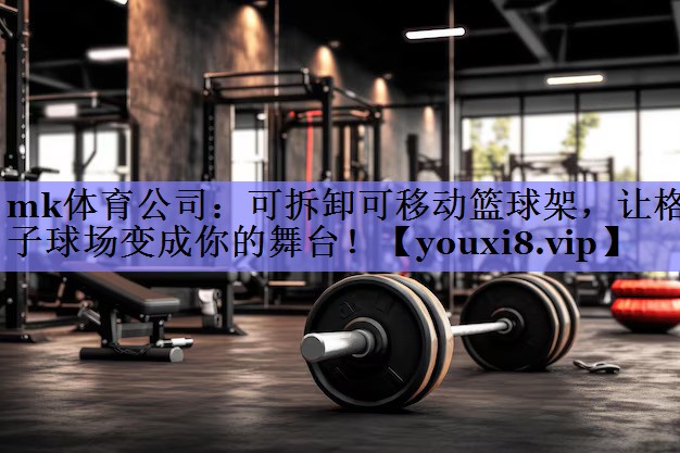 可拆卸可移动篮球架，让格子球场变成你的舞台！