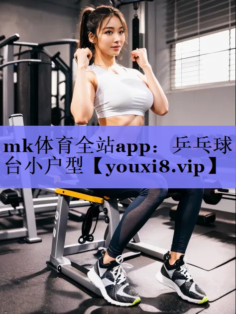 乒乓球台小户型
