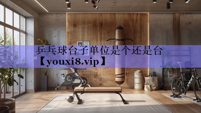 乒乓球台子单位是个还是台