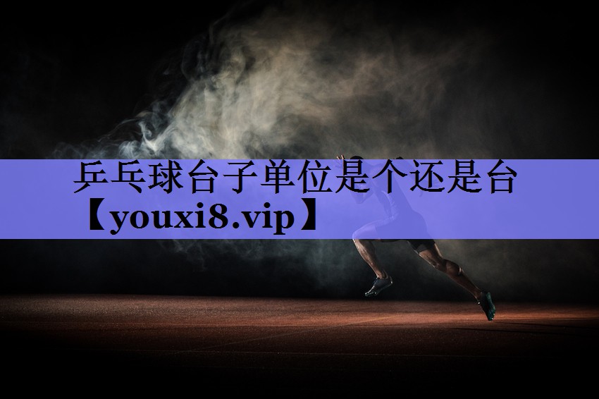乒乓球台子单位是个还是台